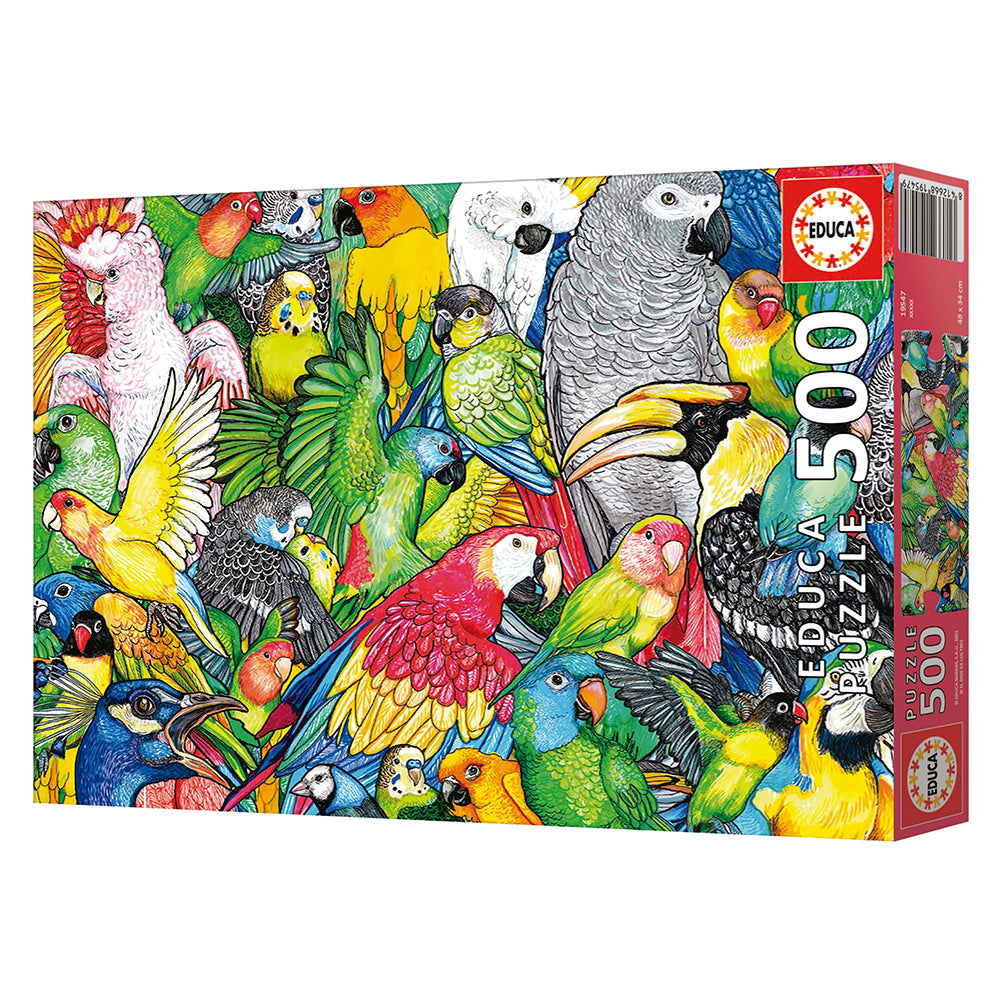 EDUCA 500pc