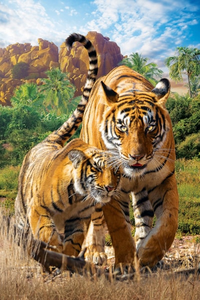 Eurographics Puzzle 250pc