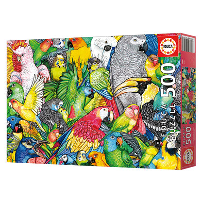 EDUCA 500pc
