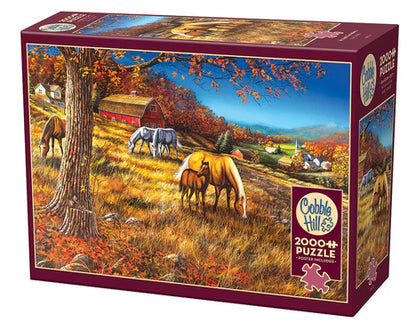 Cobble Hill Puzzle 2000 pieces