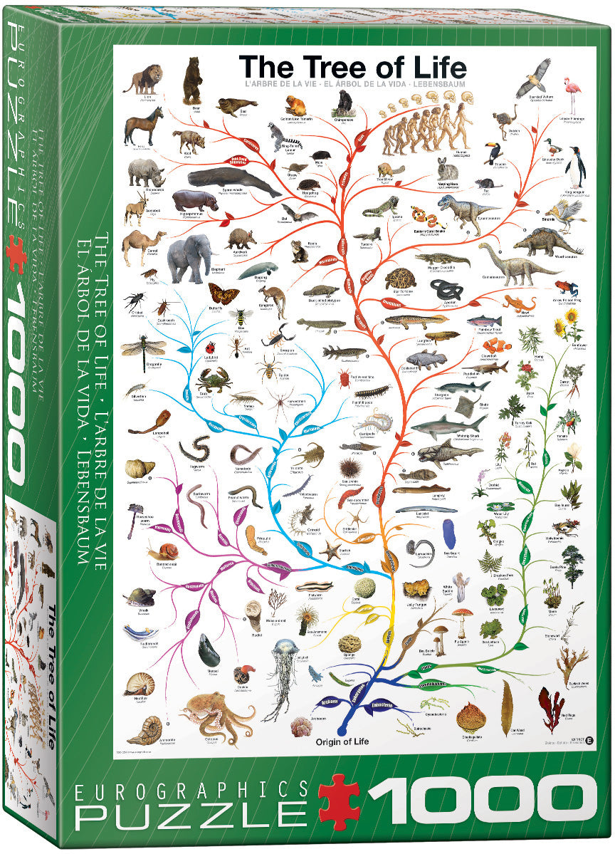 Eurographics Puzzle 750-1000Pc Asst