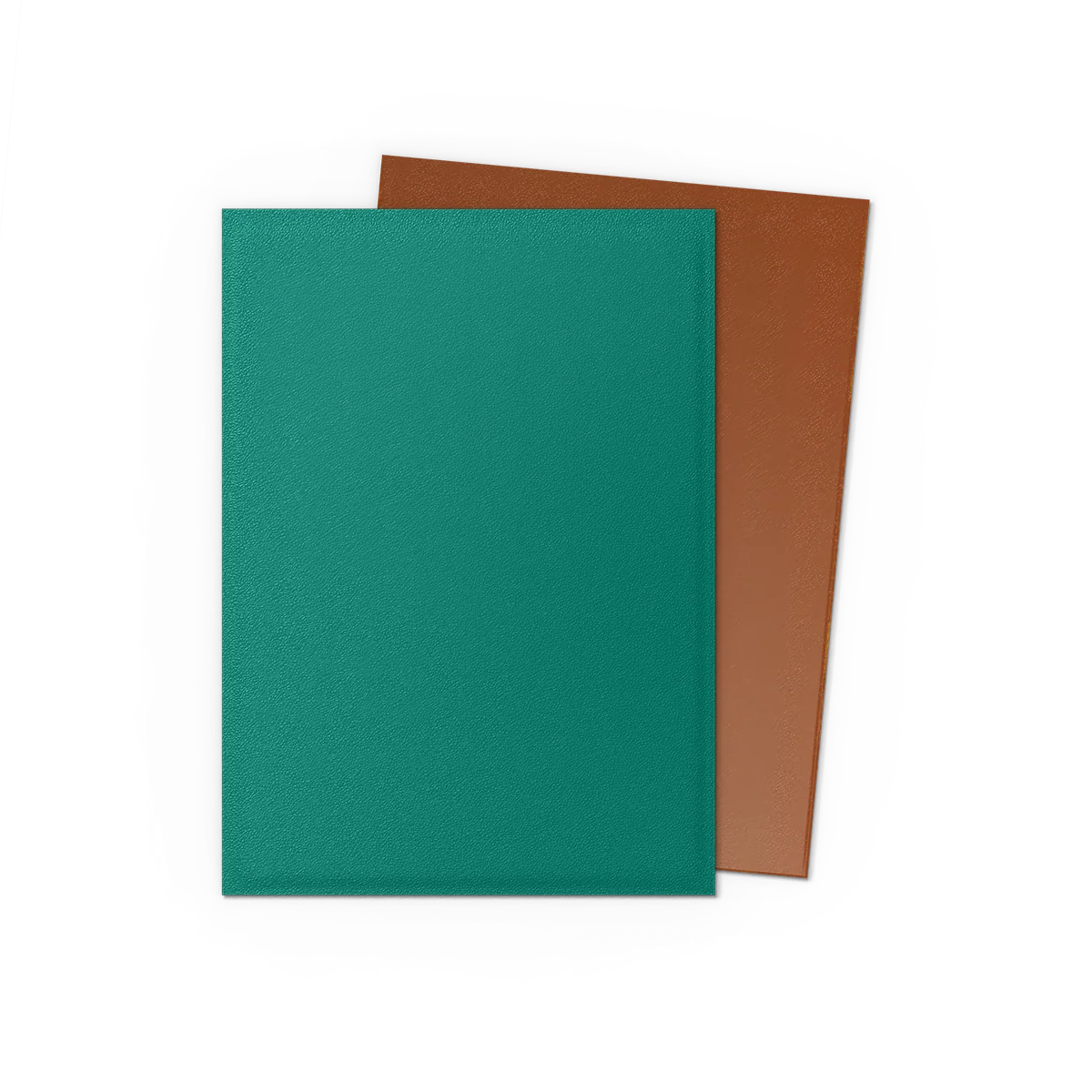 Dragon Shield Dual Matte