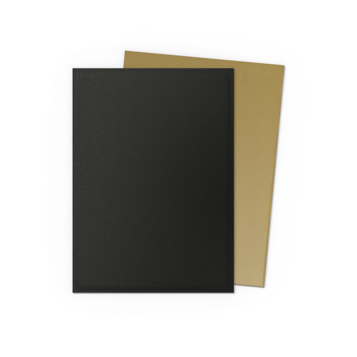 Dragon Shield Dual Matte