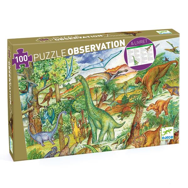 Assorted Observation Puzzles