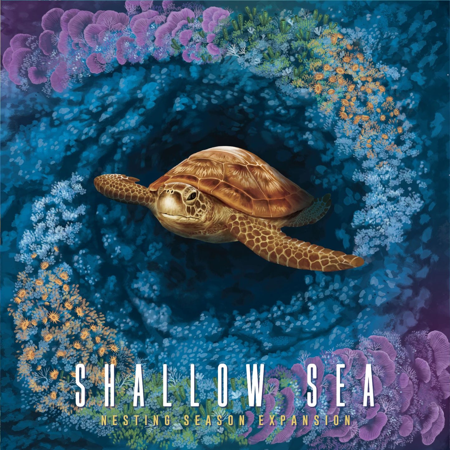 Shallow Seas: Nesting Season